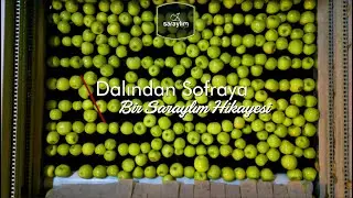 Saraylım Tarım - 2023 - Dalından Sofraya Rakamlarla Saraylım