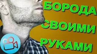 how to cut your beard yourself | OVERVIEW