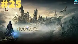 Hogwarts Legacy : Прохождение # 25 Выясняем что случилось с Анной Сэллоу