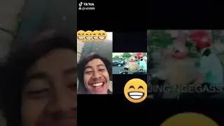 nama nama anjing wkwk