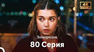 Зимородок 80 Cерия (Русский дубляж) (4K)