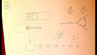 Лекция 7.4. Живые существа и поле времени