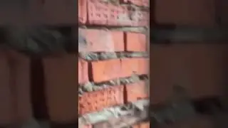 ДЕЛО СТУДЕНТОК   ЖИВОДЁРОК Крематорий