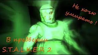 В ожидании S.T.A.L.K.E.R 2! Мозги! Моя Голова!