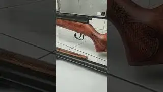 SHARP GANDIVA