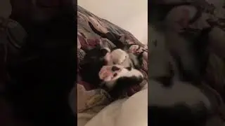 Тунеядец