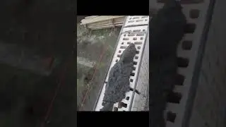 Процесс кладки облицовочного кирпича.