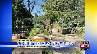Police seize 850 plants from illegal grow site in Phoenix