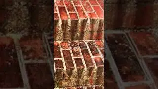 Hardscape Washing Results - 10