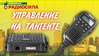 Review of the car radio SIBIshka 555
