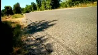 19 Осиный Патруль