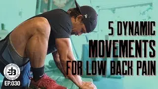 My  5 Low Back Pain Stretches |  BTG Ep 030
