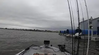 Lake Conroe big bass tour day one