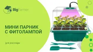 Мини парник с фитолампой HobbyFarm, 12 ячеек, для рассады