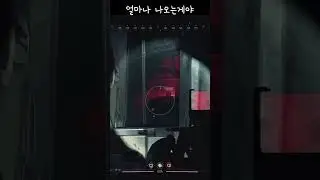 이게... 몇 마리야