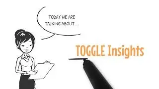 What is a TOGGLE Insight?