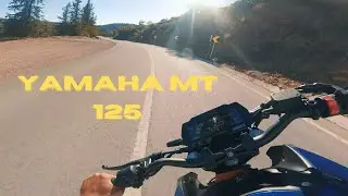 Yamaha MT 125 2022