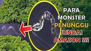 HEWAN GANAS SUNGAI AMAZON, TERLIHAT UNIK NAMUN MEMATIKAN!!!