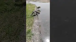 она смогла