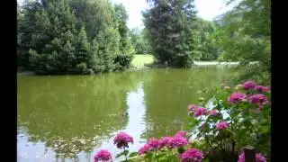 Secret Garden -  Appassionata