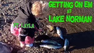 Lake Norman Bass'n ft. Layla