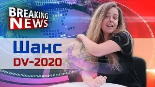 Итоги суда по делу DV-2020. Амит Мехт на стороне участников лотереи!