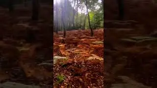 Vila Real - Portugal (Iphone XS Max Video and Editing Lumafusion)