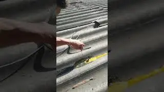 nuevo retos del piolo en el Tello con pies descalzo ven a verlo