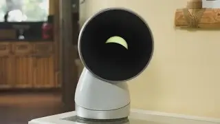 Jibo the family robot