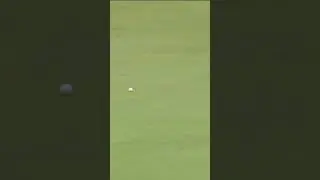 Good birdie from Elvira at the 2023 