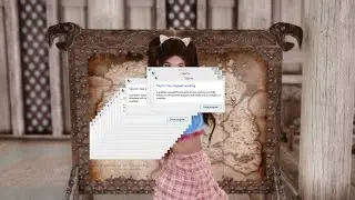 Skyrim Modding Community in a Nutshell