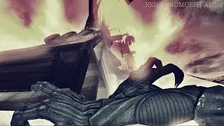 За Картой Aliens vs. Predator 2010 (Джунгли за Чужого)