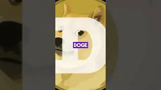 SKAM НА DOGECOIN💻🐕