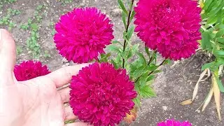 🍁Конец сезона,15.10.22г.!!!🍂