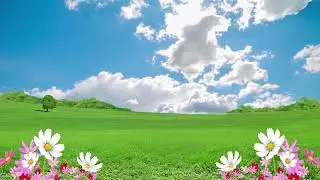 Free Natural Flower, Beautiful Landscape 1080p, Background Video