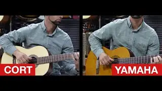 Yamaha C40 vs Cort AC100 🎸 Guitar PARTY