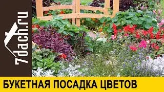 💐 Букетный способ посева цветов на рассаду. Будет очень красиво! - 7 дач