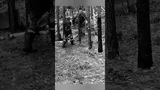 ХОДИМ ПО ОДНОЙ ТРОПЕ. #bear #фотоловушка