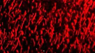 Closer to the edge.AVI