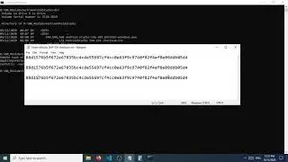 How to verify hash file sha256 in windows 10