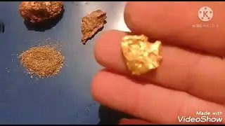 vejam ouro e turmalina negra  resultado do garimpo no mês do natal
