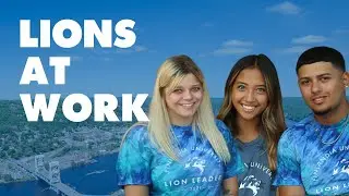 Lions at Work | Finlandia University