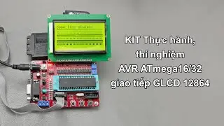 #257 KIT Thực hành, thí nghiệm AVR ATmega16/32 giao tiếp GLCD 12864
