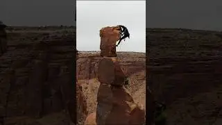 Standing on desert towers