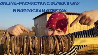 online-расчистка с Olmek's Way