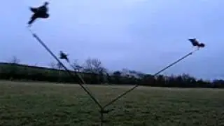 MEGA PIGEON MAGNET DECOY SHOOTING ROTARY MACHINE IN ACTION 1