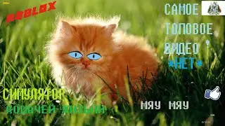 Жизнь кота в РОБЛОКСЕ