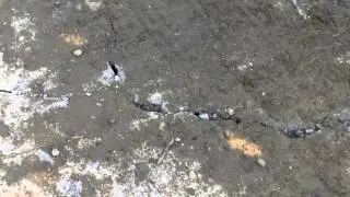 HDV 0025