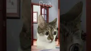 А тебе что подарят?😂 