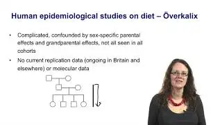 5.5 Human epidemiological studies on the Overkalix cohort, grandparental effects and possibility of